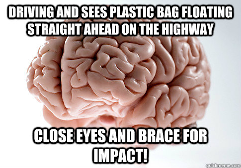Driving and sees plastic bag floating straight ahead on the highway CLOSE EYES AND BRACE FOR IMPACT!  ScumbagBrain