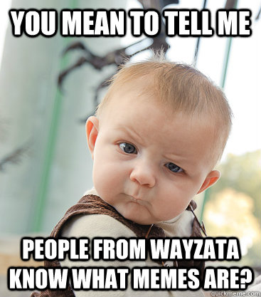 you mean to tell me people from wayzata know what memes are?  skeptical baby