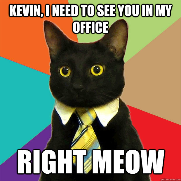 Kevin, i need to see you in my office right meow  Business Cat