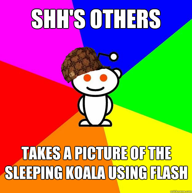 SHH'S OTHERS TAKES A PICTURE OF THE SLEEPING KOALA USING FLASH  Scumbag Redditor