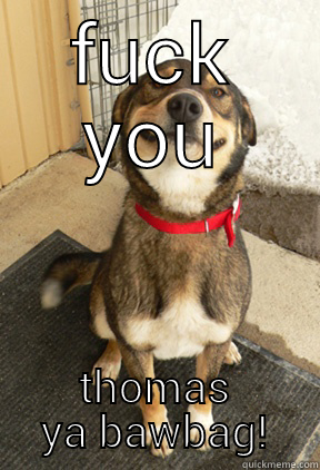 FUCK YOU THOMAS YA BAWBAG! Good Dog Greg
