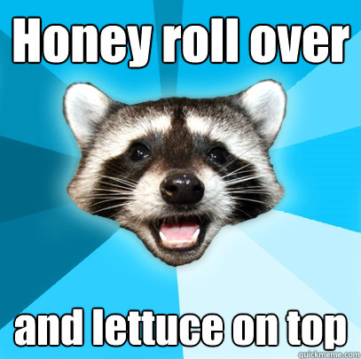 Honey roll over and lettuce on top  Lame Pun Coon