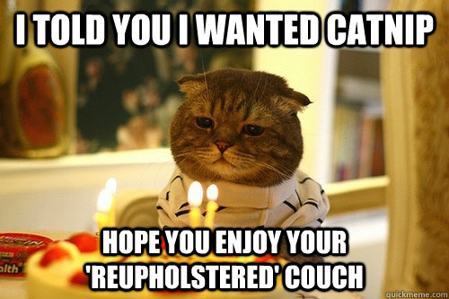 I told you I wanted catnip hope you enjoy your 'reupholstered' couch - I told you I wanted catnip hope you enjoy your 'reupholstered' couch  Dissapointed Birthday Cat