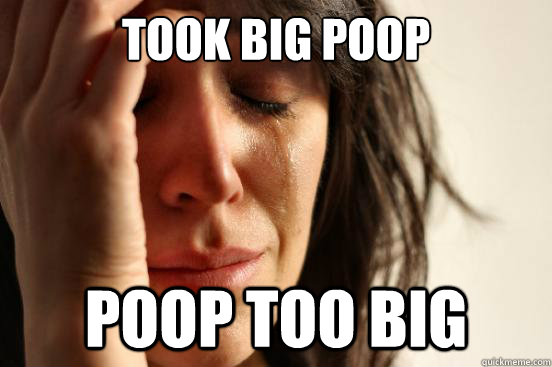 took big poop poop too big  First World Problems