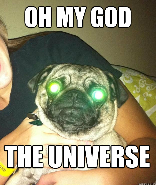OH MY GOD THE UNIVERSE - OH MY GOD THE UNIVERSE  Alien Pug