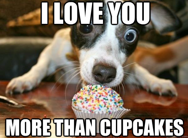 I love you more than cupcakes - I love you more than cupcakes  Cupcake puppy