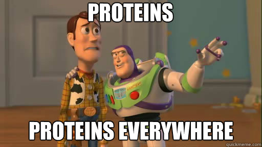 proteins proteins everywhere  Everywhere