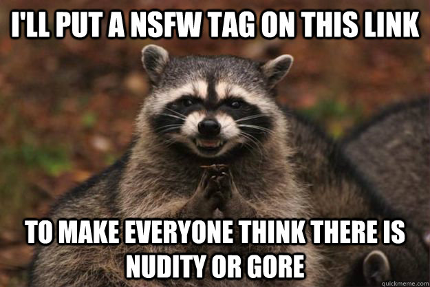 I'll put a NSFW tag on this link to make everyone think there is nudity or gore  Evil Plotting Raccoon