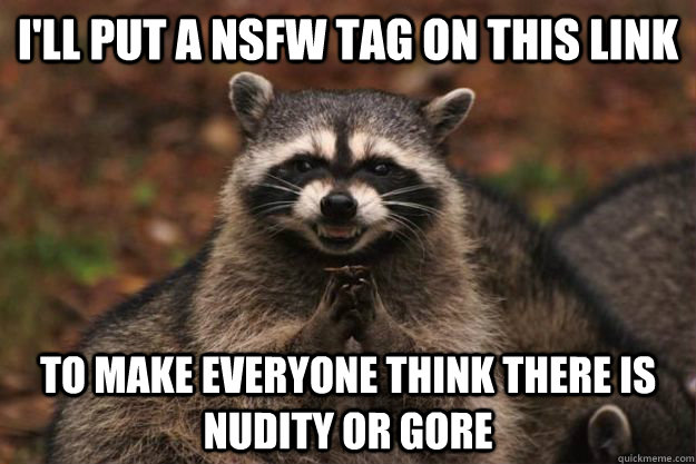 I'll put a NSFW tag on this link to make everyone think there is nudity or gore - I'll put a NSFW tag on this link to make everyone think there is nudity or gore  Evil Plotting Raccoon