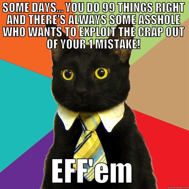 SOME DAYS... YOU DO 99 THINGS RIGHT AND THERE'S ALWAYS SOME ASSHOLE WHO WANTS TO EXPLOIT THE CRAP OUT OF YOUR 1 MISTAKE! EFF'EM Business Cat