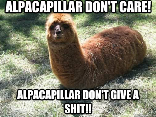alpacapillar don't care! alpacapillar don't give a shit!!  Alpacapillar