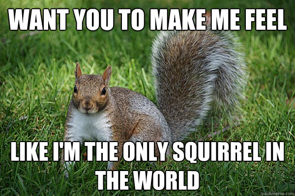 Want you to make me feel Like I'm the only squirrel in the world  Adele
