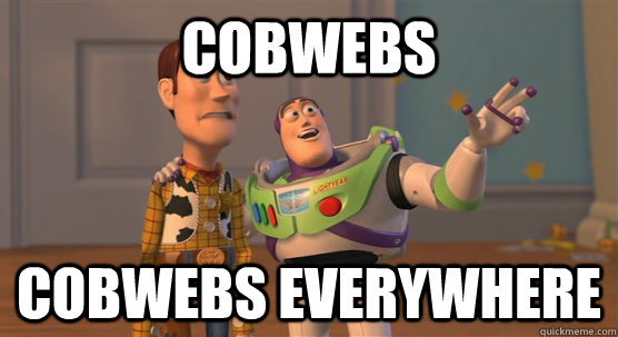 COBWEBS COBWEBS EVERYWHERE  Toy Story Everywhere