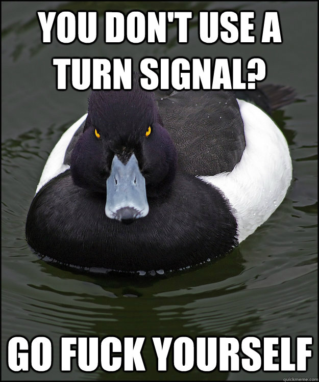 you don't use a turn signal? go fuck yourself  Angry Advice Duck