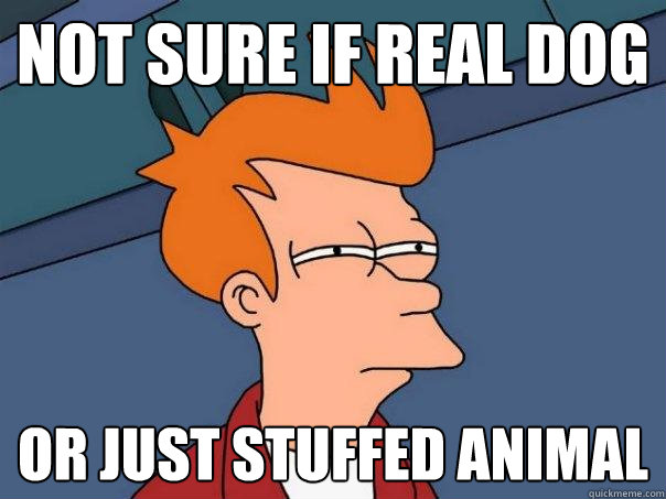 Not sure if real dog or just stuffed animal  Futurama Fry