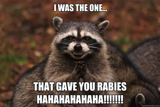 I was the one... that gave you rabies
HAHAHAHAHAHA!!!!!!!
  Evil Plotting Raccoon