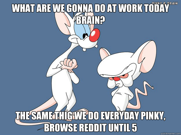 what are we gonna do at work today brain? THE SAME THIG WE DO EVERYDAY PINKY, BROWSE REDDIT UNTIL 5  