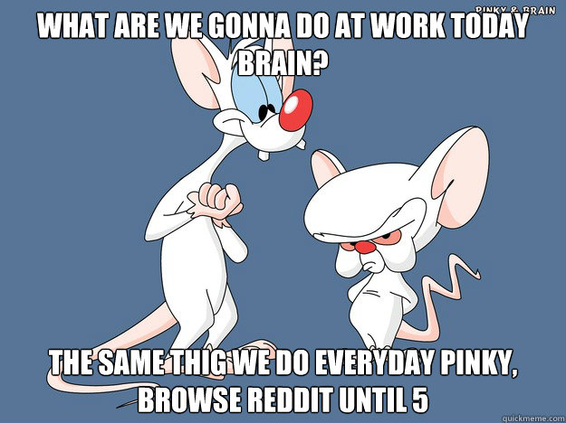 what are we gonna do at work today brain? THE SAME THIG WE DO EVERYDAY PINKY, BROWSE REDDIT UNTIL 5 - what are we gonna do at work today brain? THE SAME THIG WE DO EVERYDAY PINKY, BROWSE REDDIT UNTIL 5  Misc