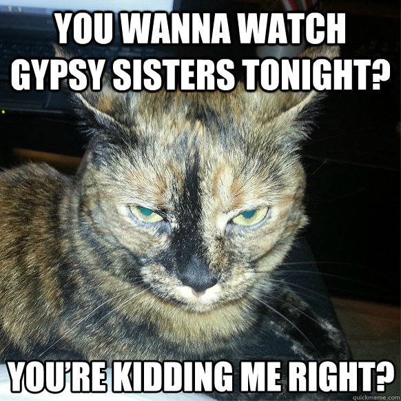 You wanna watch Gypsy sisters tonight? - You wanna watch Gypsy sisters tonight?  Youre kidding me right Cat