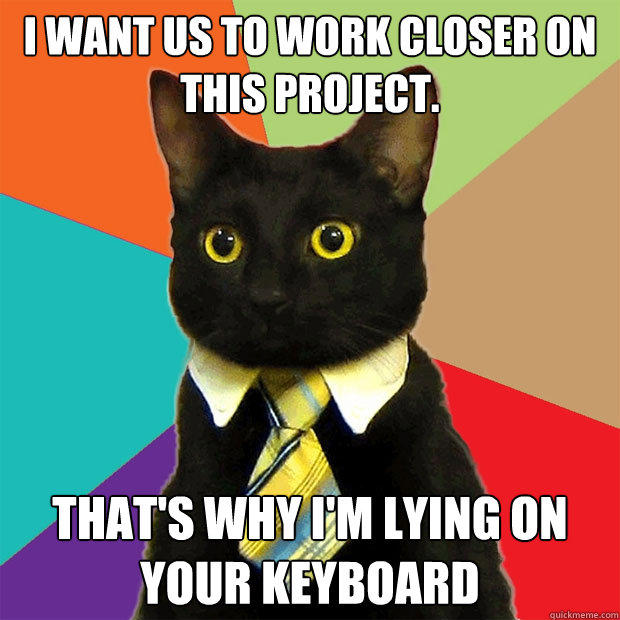 I want us to work closer on this project. That's why I'm lying on your keyboard - I want us to work closer on this project. That's why I'm lying on your keyboard  Business Cat