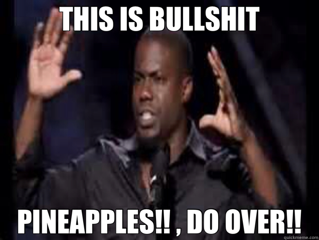 THIS IS BULLSHIT PINEAPPLES!! , DO OVER!!  