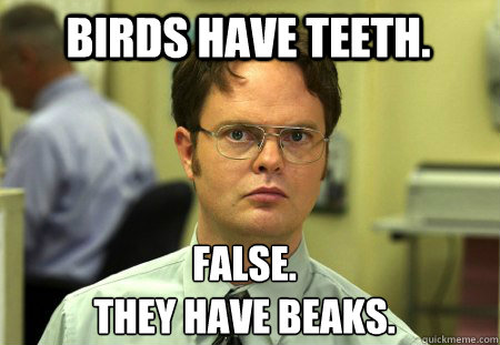 Birds have teeth. False.
They have beaks.  Schrute