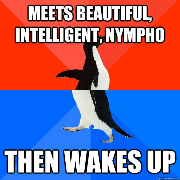 Meets beautiful, intelligent, nympho Then wakes up  Socially Awesome Awkward Penguin