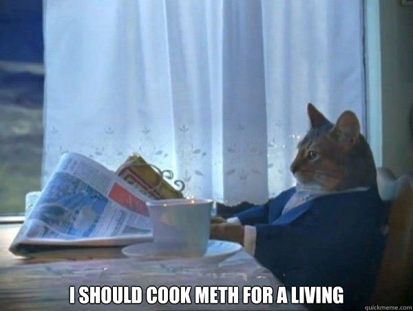  I should cook meth for a living -  I should cook meth for a living  morning realization newspaper cat meme