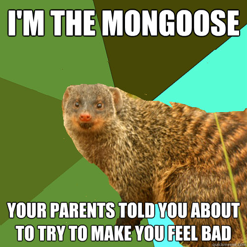 i'm the mongoose your parents told you about to try to make you feel bad - i'm the mongoose your parents told you about to try to make you feel bad  Supercrip Mongoose