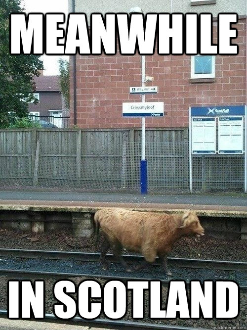 meanwhile in scotland - meanwhile in scotland  ScotRail