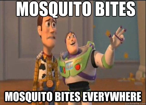 Mosquito bites Mosquito bites everywhere  