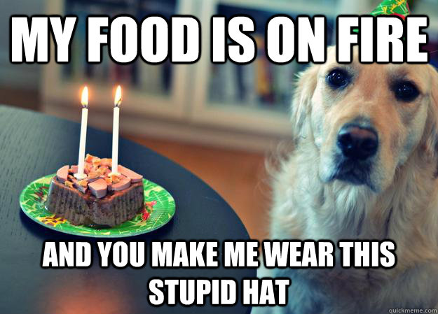my food is on fire and you make me wear this stupid hat  Sad Birthday Dog