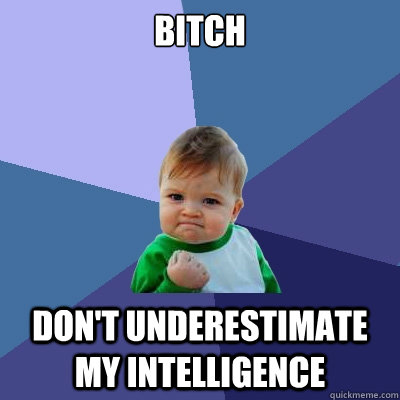 Bitch don't underestimate my intelligence  - Bitch don't underestimate my intelligence   Success Kid