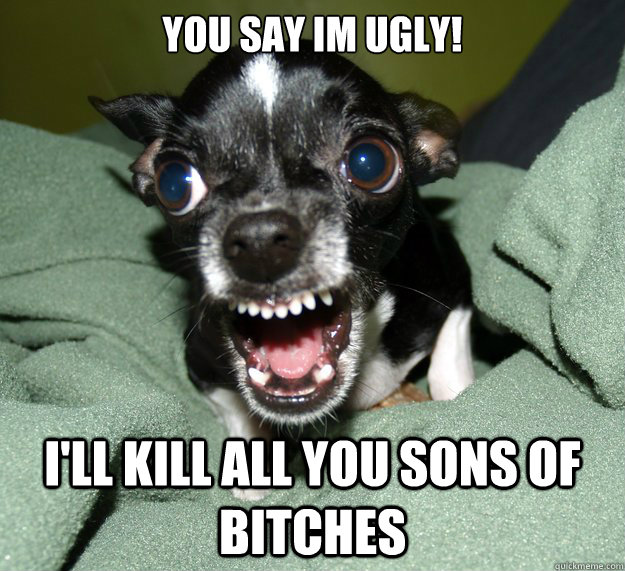 you say im ugly! i'll kill all you sons of bitches - you say im ugly! i'll kill all you sons of bitches  Chihuahua Logic