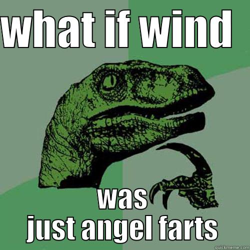 WHAT IF WIND   WAS JUST ANGEL FARTS Philosoraptor