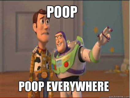 Poop poop everywhere  woody and buzz