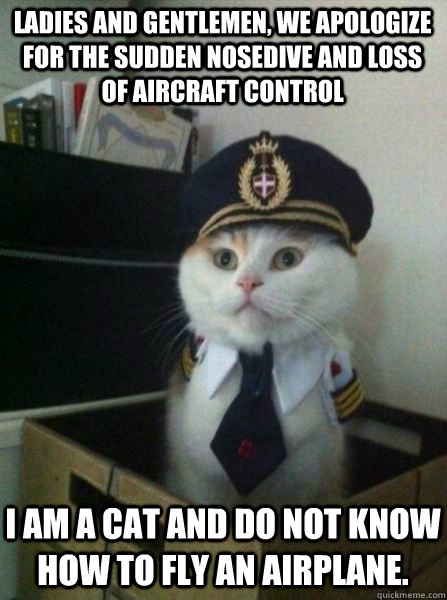 LADIES AND GENTLEMEN, WE APOLOGIZE FOR THE SUDDEN NOSEDIVE AND LOSS OF AIRCRAFT CONTROL I am a cat and do not know how to fly an airplane.  Captain kitteh