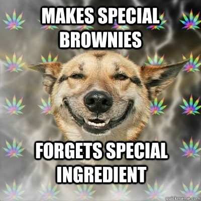 makes special brownies forgets special ingredient  Stoner Dog