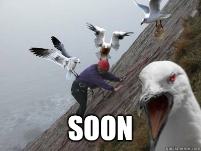 Soon -  Soon  Seagull