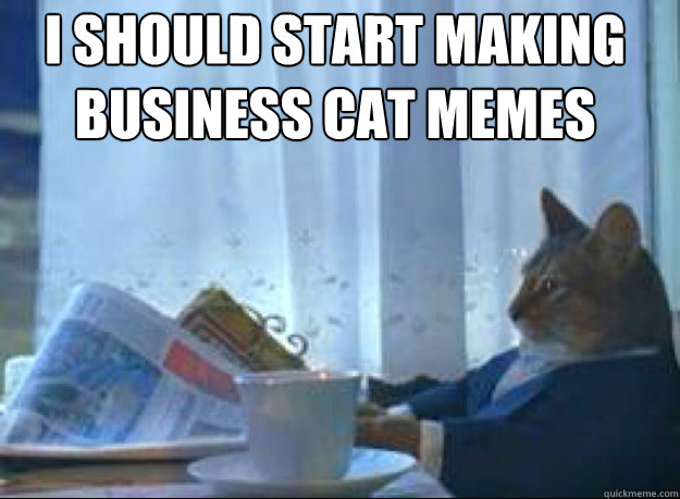 I should start making business cat memes  - I should start making business cat memes   I should buy a boat cat