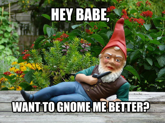 hey babe, want to gnome me better?  Sexy Gnome