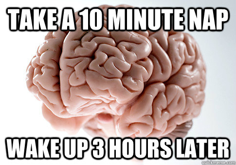 Take a 10 minute nap Wake up 3 hours later  Scumbag Brain