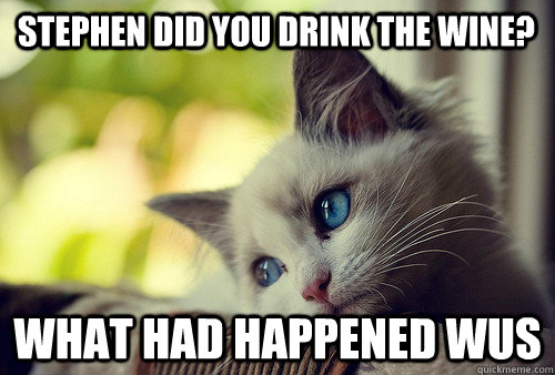 stephen did you drink the wine? what had happened wus  First World Problems Cat