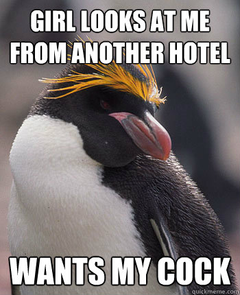 Girl looks at me from another hotel Wants my cock  Socially Overconfident Penguin