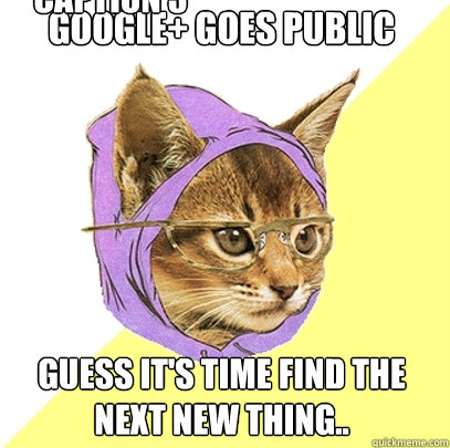 google+ goes public guess it's time find the next new thing.. Caption 3 goes here  Hipster Kitty