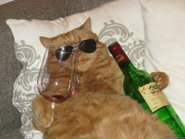   -    Party Cat