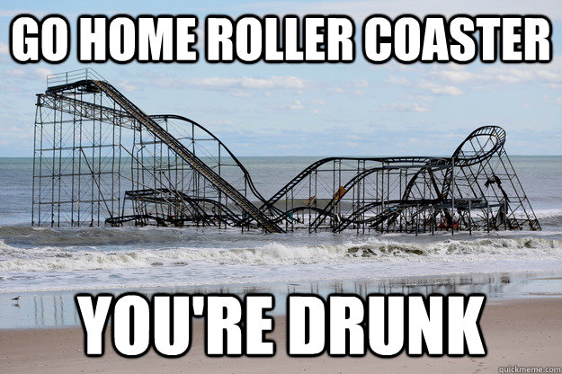 Go Home Roller Coaster You're Drunk  