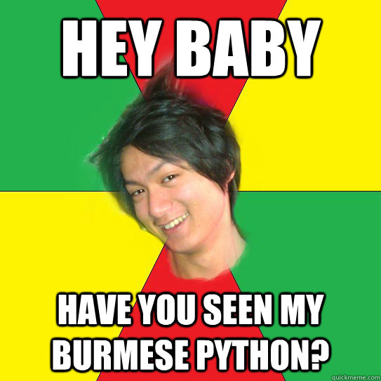 Hey Baby Have you seen my Burmese python? - Hey Baby Have you seen my Burmese python?  Lady Killer Kaung Myat San OOOOOOOOOOOOOOOOOOOO