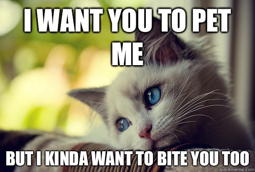 I want you to pet me But I kinda want to bite you too  - I want you to pet me But I kinda want to bite you too   First World Cat Problems