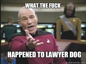 what the fuck Happened to lawyer dog  Annoyed Picard
